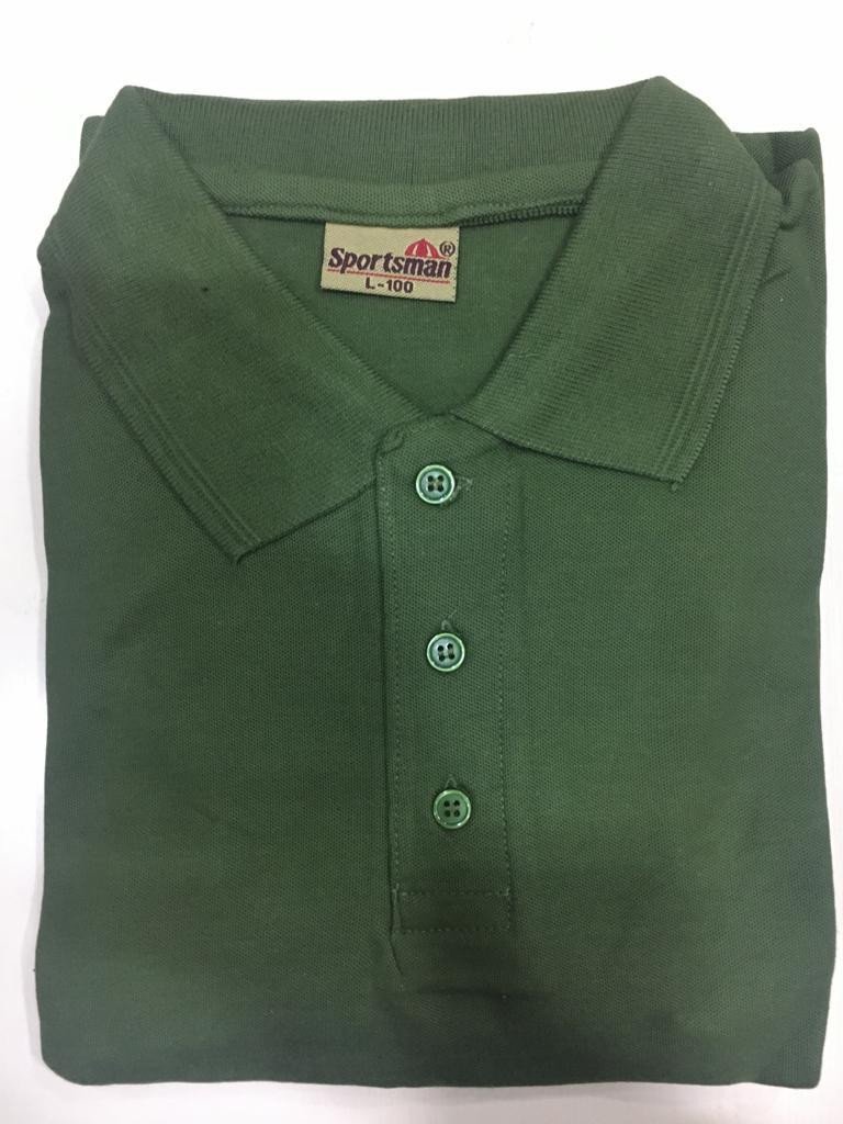 Sportsman Polo neck T-Shirt supplier - 230 Gsm - Light Green